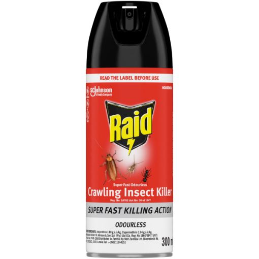 RAID SUPERFAST ODOURLESS CIK 300ML