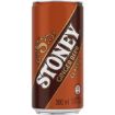 STONEY GINGER BEER 300ML