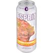 ESPRIT MANGO & TWIST OF CHILLI 500ML CAN