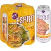 ESPRIT MANGO & TWIST OF CHILLI 500ML CAN x 4