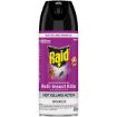 RAID DUAL PURPOSE ODOURLESS 300ML