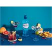 STRETTONS GIN WILD BERRIES 750ML