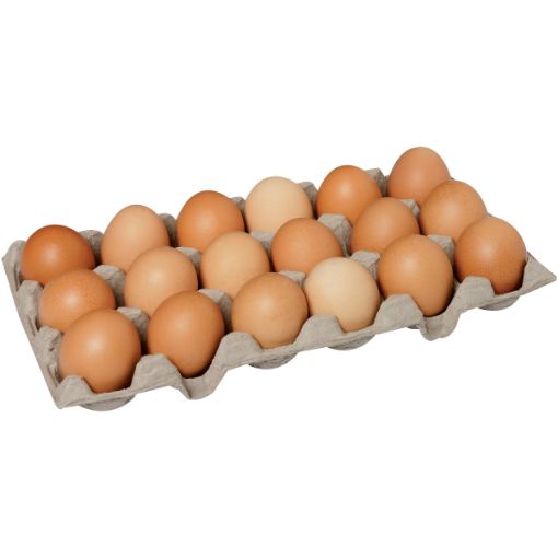 WALDSCHMIDT EGGS F/P XLARGE