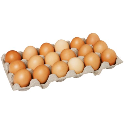 WALDSCHMIDT EGGS F/P LARGE