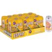 ESPRIT MANGO & TWIST OF CHILLI 500ML CAN x 24