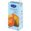 CAMISA FRUIT JUICE JUICE 100% GUAVA