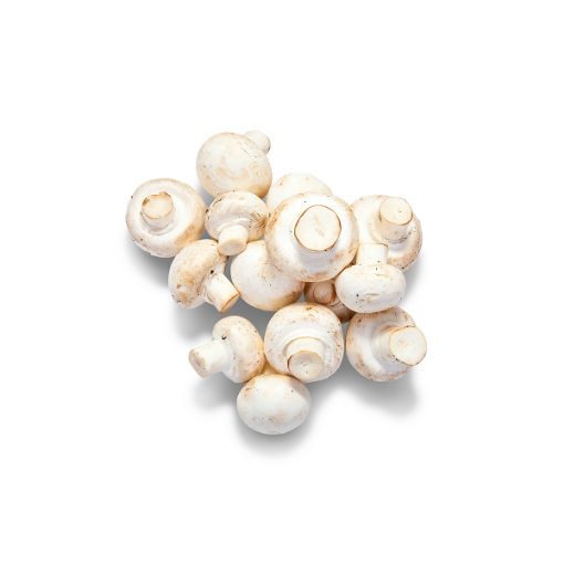 MODEL MUSHROOM WHITE PP