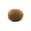 MODEL KIWIFRUIT