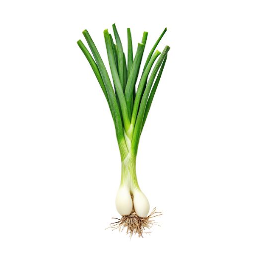 MODEL SPRING ONION PP